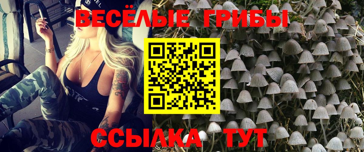 Галлюциногенные грибы ЛСД Полысаево