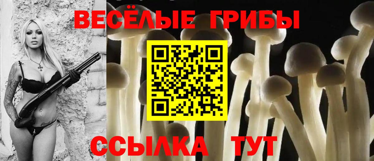 Галлюциногенные грибы мухоморы  купить  сайты  Вход с VPN  Полысаево  Псилоцибиновые грибы Psilocybine cubensis 